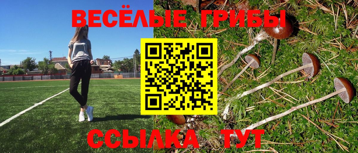 Фрязино  Галлюциногенные грибы прущие грибы  Вход с VPN  Галлюциногенные грибы ЛСД 